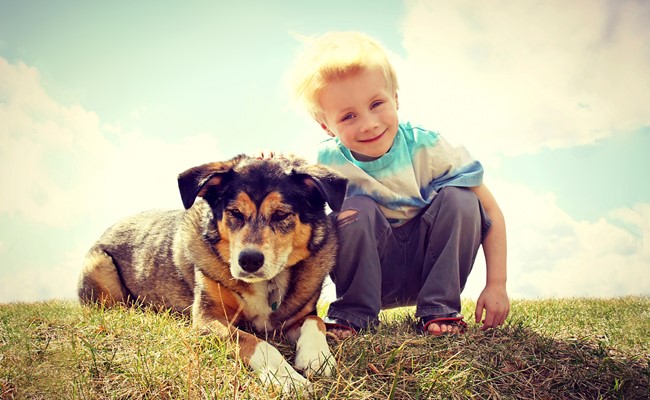 happy boy and dog