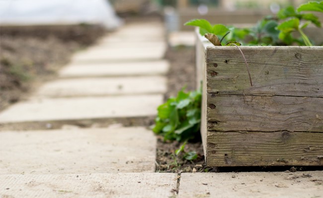katy property management landscape planter box