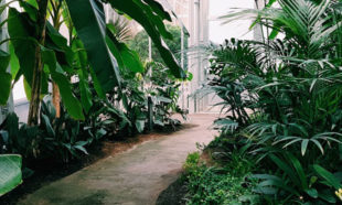 10 Important Things to Keep in Mind When Landscaping a Rental Property