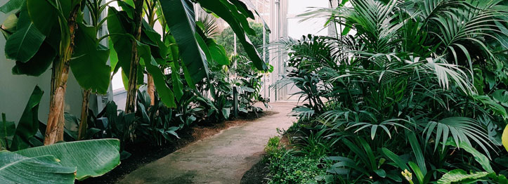 10 Important Things to Keep in Mind When Landscaping a Rental Property
