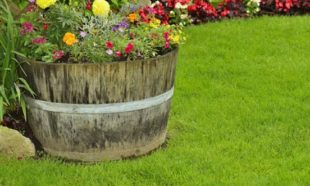 4 Low Maintenance Landscaping Design Tips