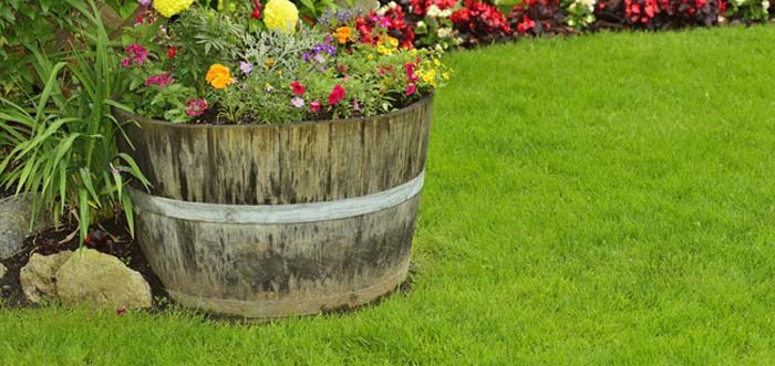 4 Low Maintenance Landscaping Design Tips