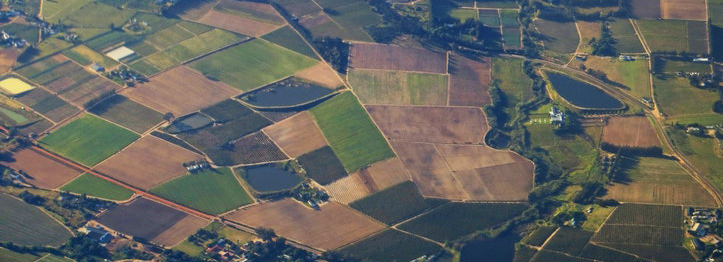 4 Tips and Considerations for Buying Raw Land in San Antonio