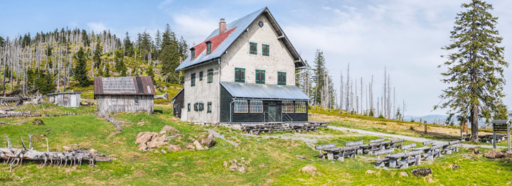 5 Things to Consider With Older Homes