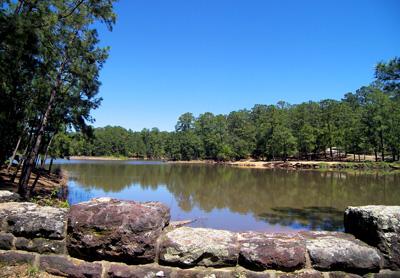 Bastrop State Park.