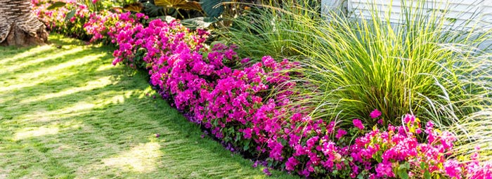 Better Landscaping For Houston Property Managers
