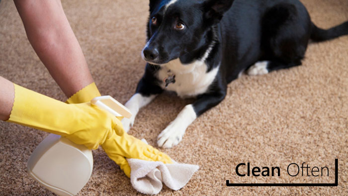 Clean Often