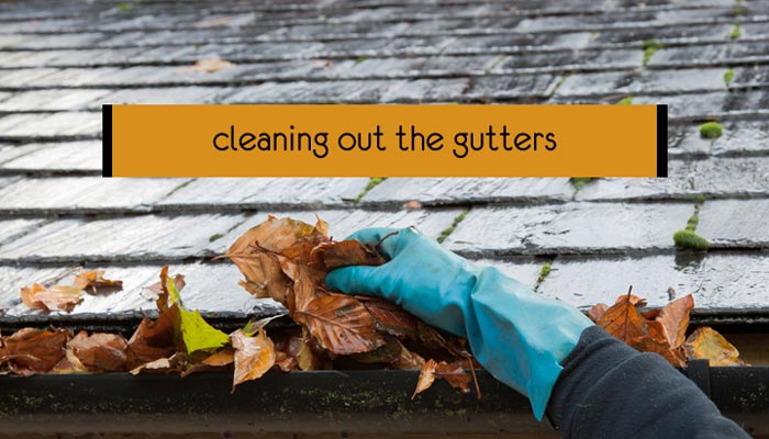 Cleaning Out the Gutters