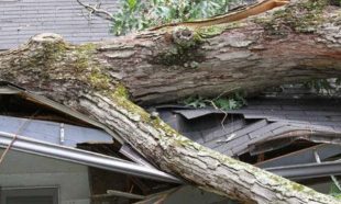 Considerations Before Buying A Home Warranty
