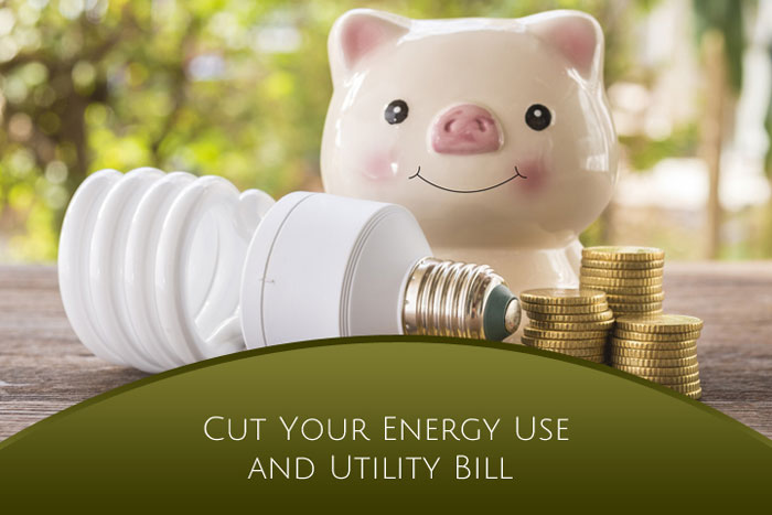 Cut Your Energy Use