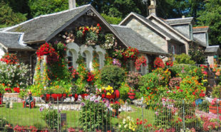 How Curb Appeal Can Help You Sell Your Austin Home