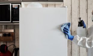 How to Handle Pests in a Texas Rental Property