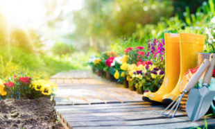 How to Make Your Backyard a Selling Point