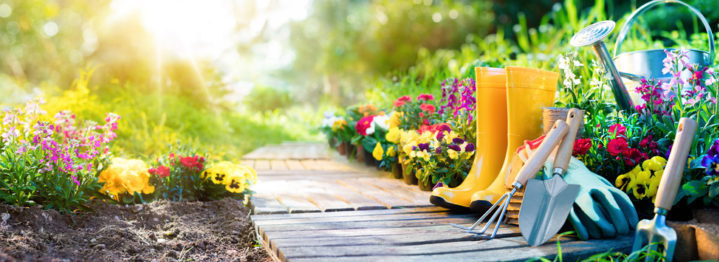 How to Make Your Backyard a Selling Point