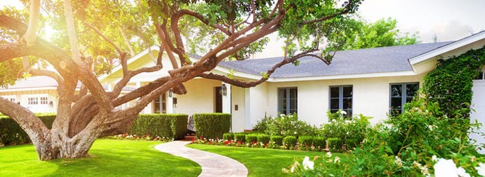 How to Make a Temporary House Feel Like Home