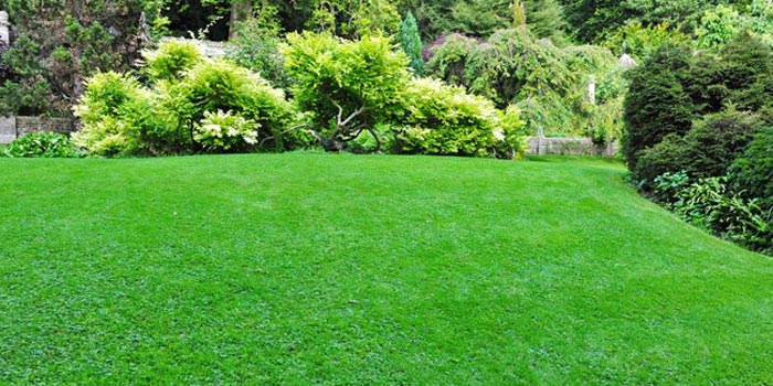 Landscaping Your Rental Property