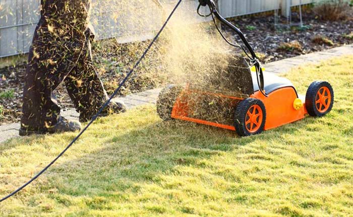 Mow the Old Grass Low