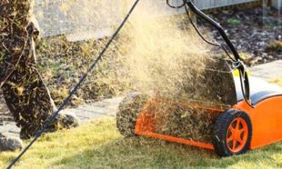 Prepare Your Houston Yard for Spring