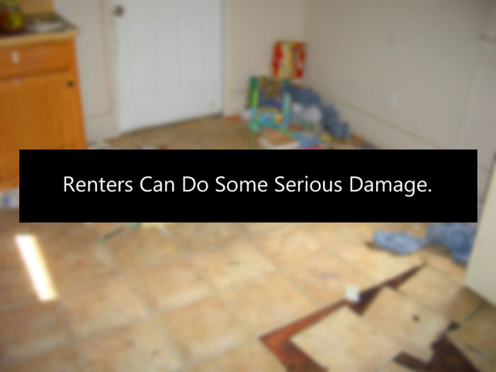 Renters Can Do Some Serious Damage