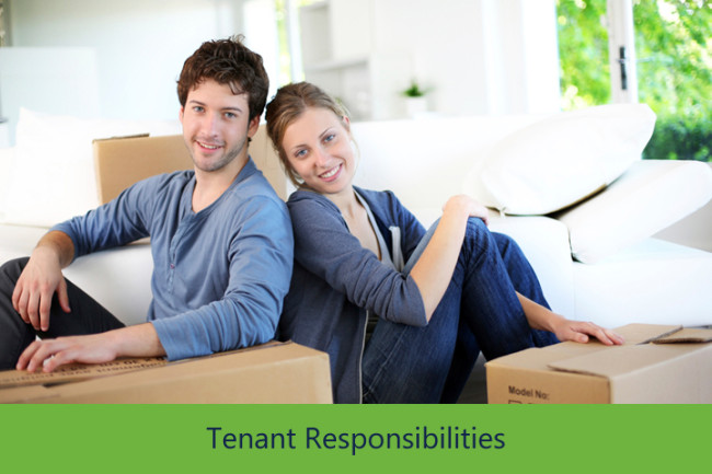 houston property management tenant responsibilities