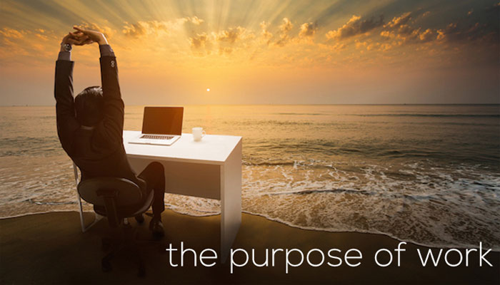 Understand Why You Work