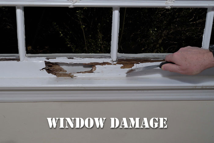 Window Damage