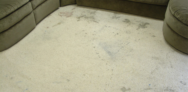 dirty carpet in katy texas rental property
