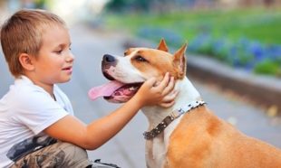 katy tx child with dog