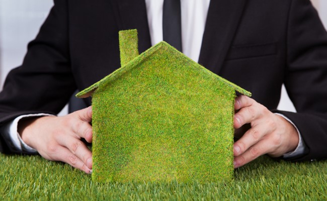 katy texas home covered in grass