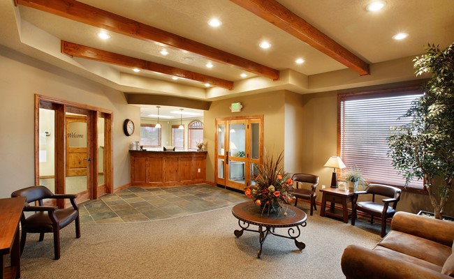 luxury living room in houston home for sale