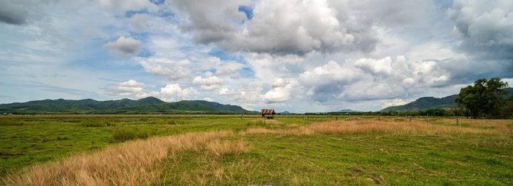 Stump and cottage in meadow