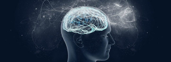 Human brain and its capabilities.