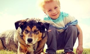 large dog and happy young boy