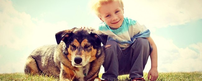 large dog and happy young boy