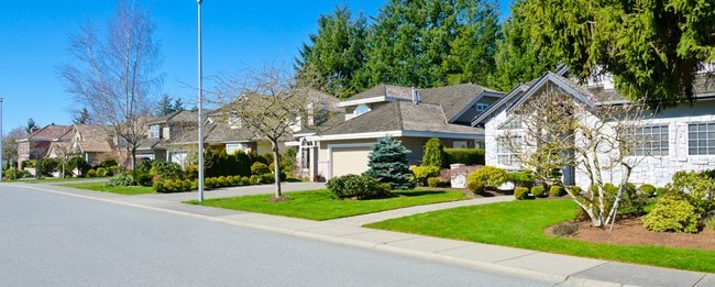 nice suburban neighborhood