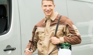 katy pest control for residential properties