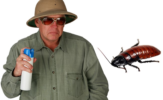 houston residential realty company pest control person