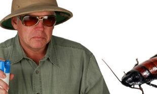 houston property management pest control