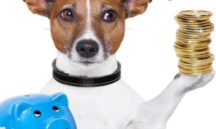 katy texas pet deposit