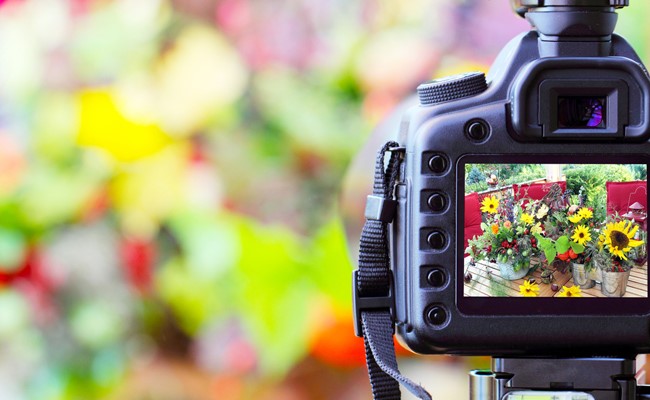 digital images of houston residential rental property