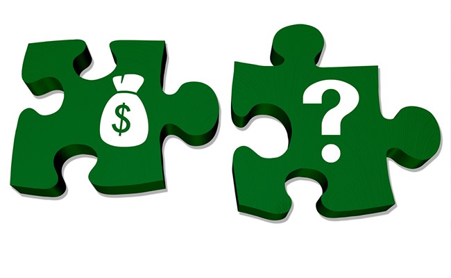 illustration with puzzle pieces and money symbol and question mark